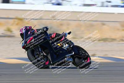 media/Jan-08-2022-SoCal Trackdays (Sat) [[1ec2777125]]/Turn 14 Outside (1050am)/